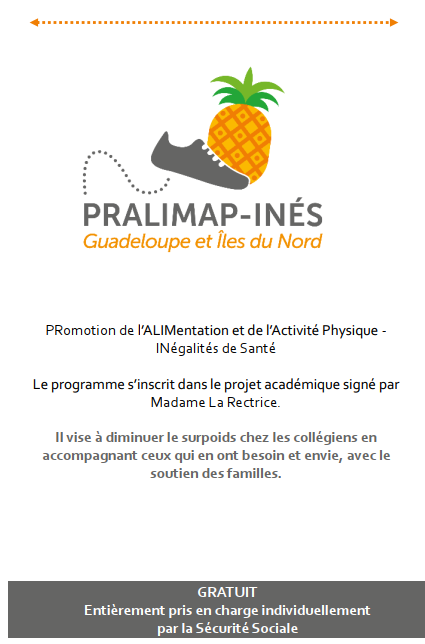 Flyer PRALIMAP INES