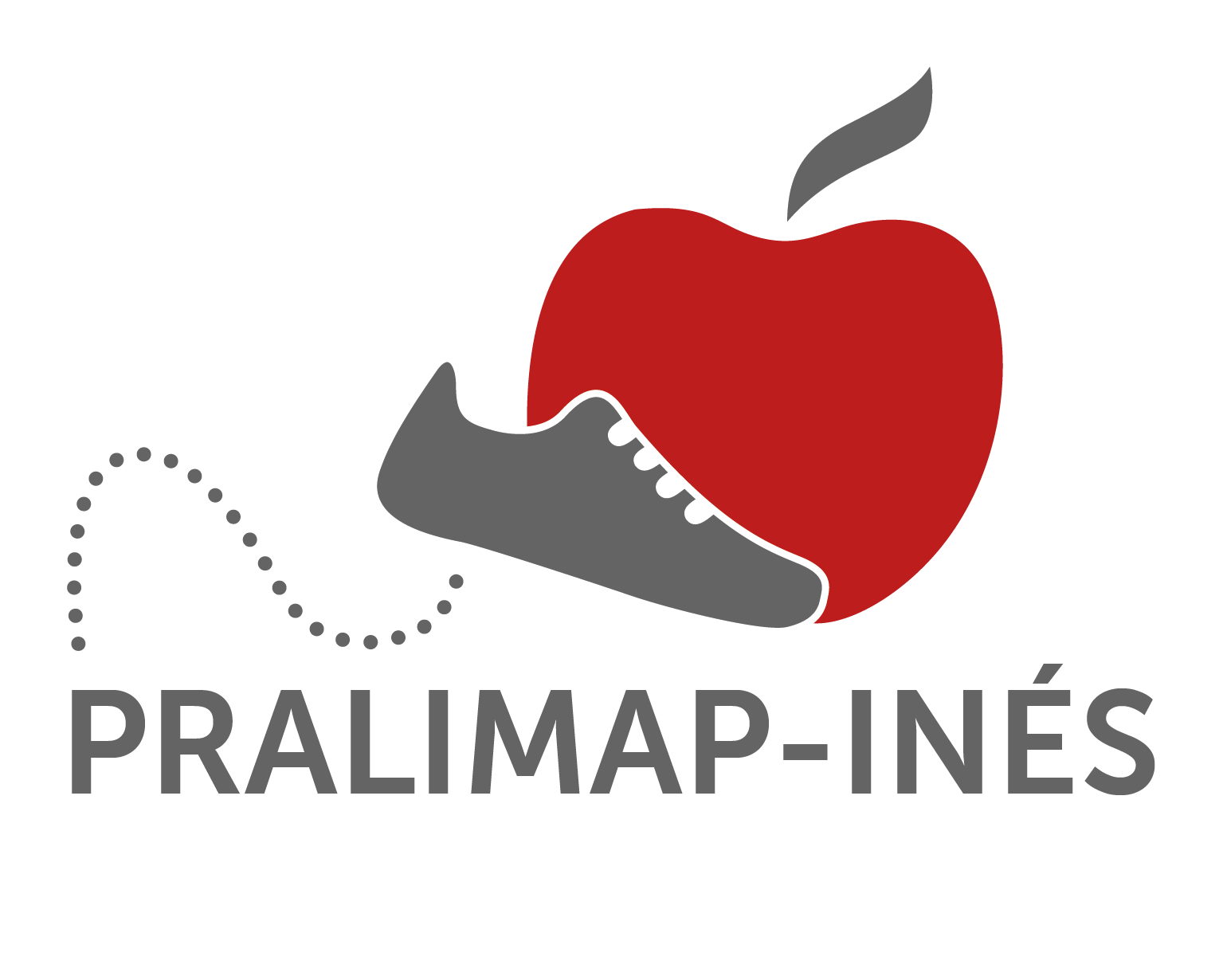 PRALIMAP-INES