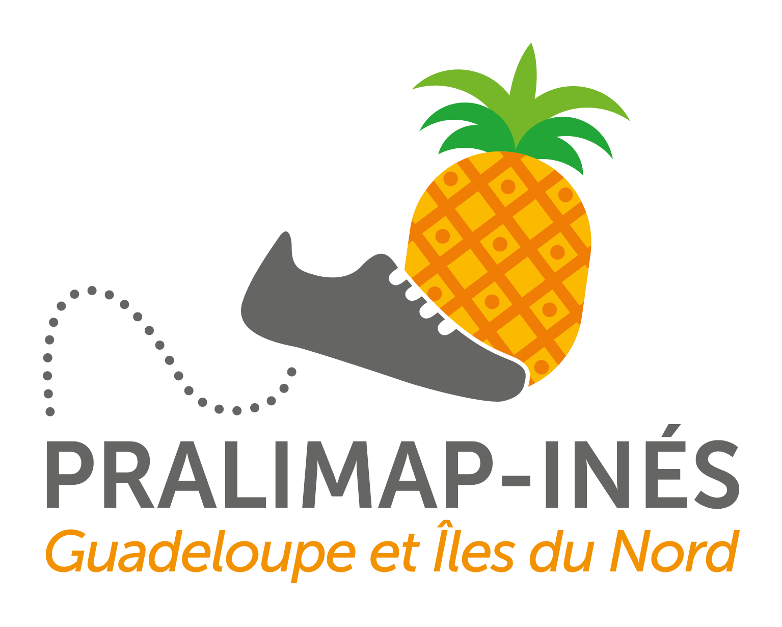 Logo PRALIMAP INES Guadeloupe