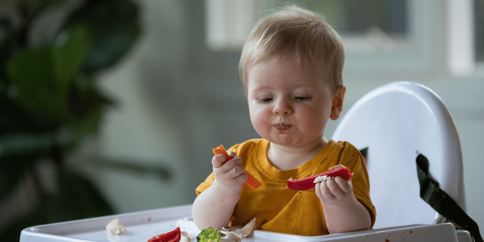 Nutrition et 1000 premiers jours