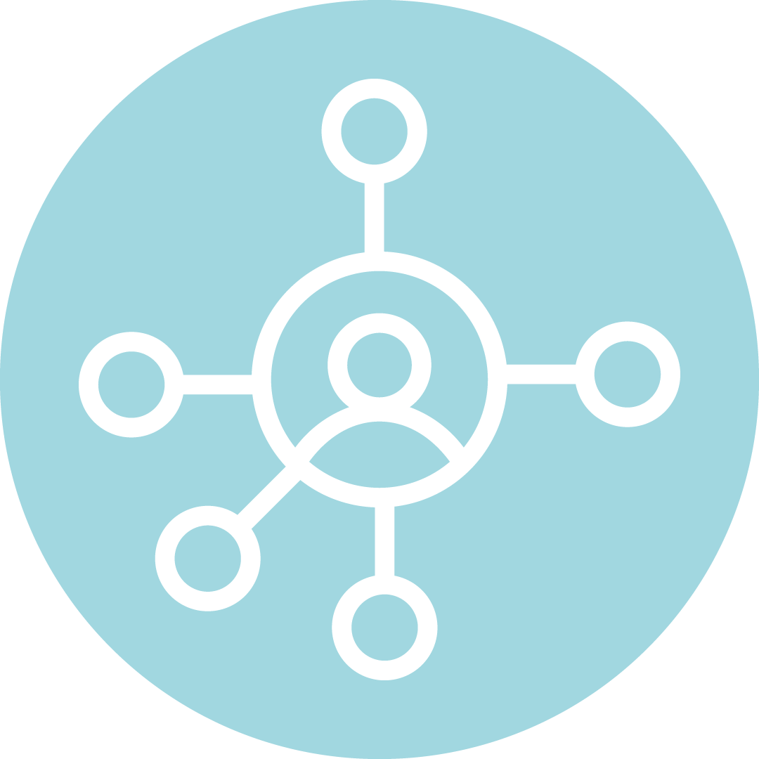 Animation de réseaux